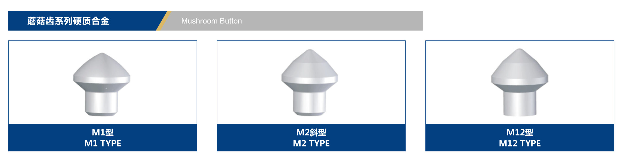 Classification of Mushroom Button